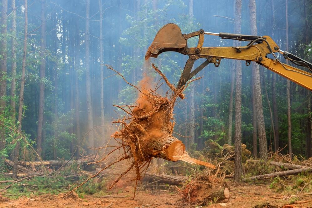 stump grinding in tight backyard access area