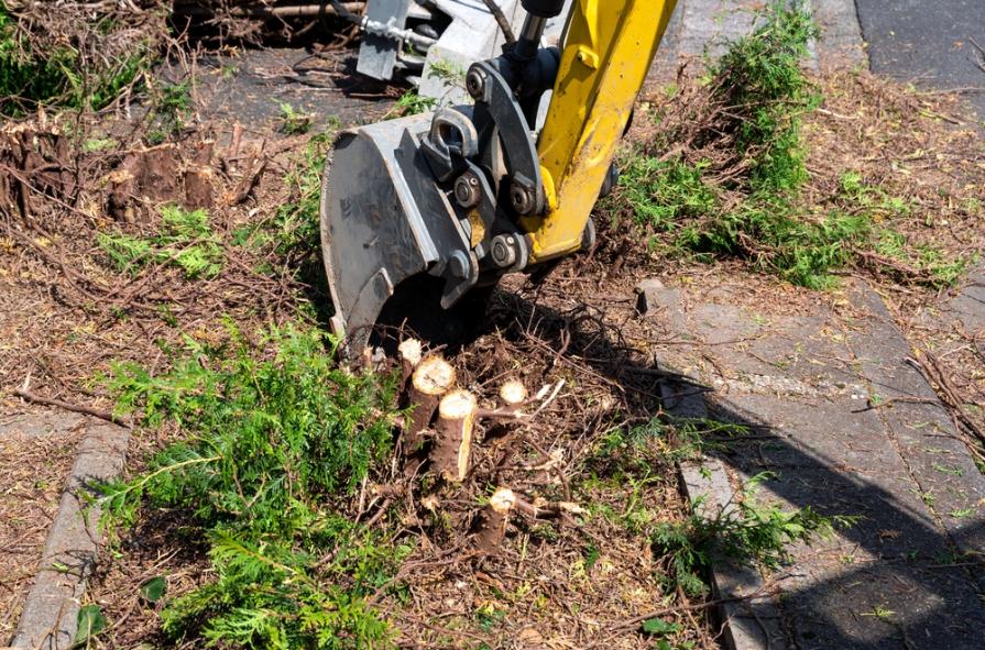 stump grinding service in wooded residential property