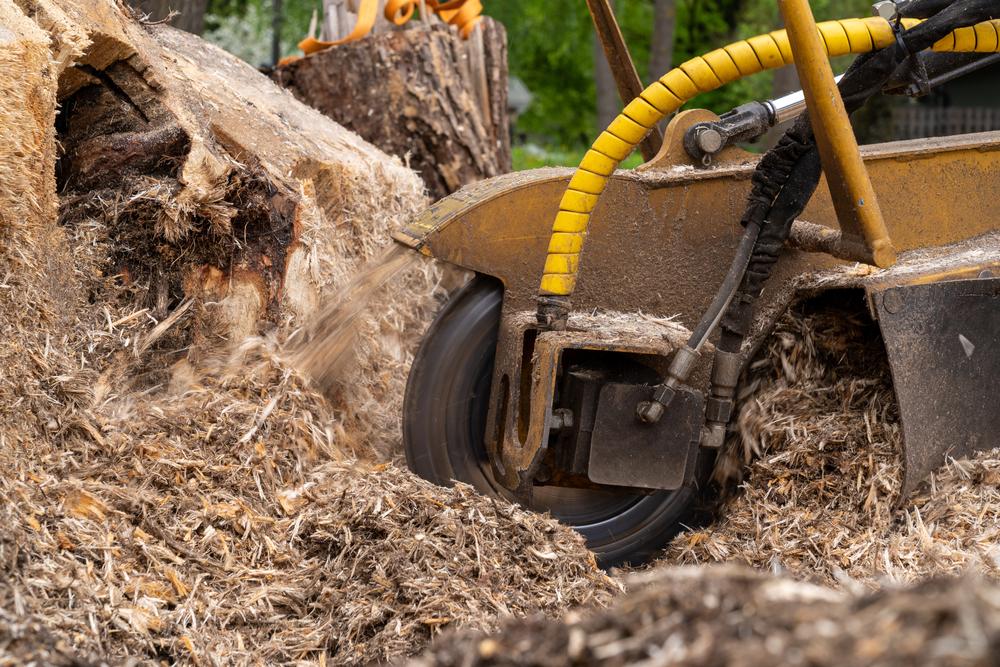 Stump removal specialist working on a Missouri property