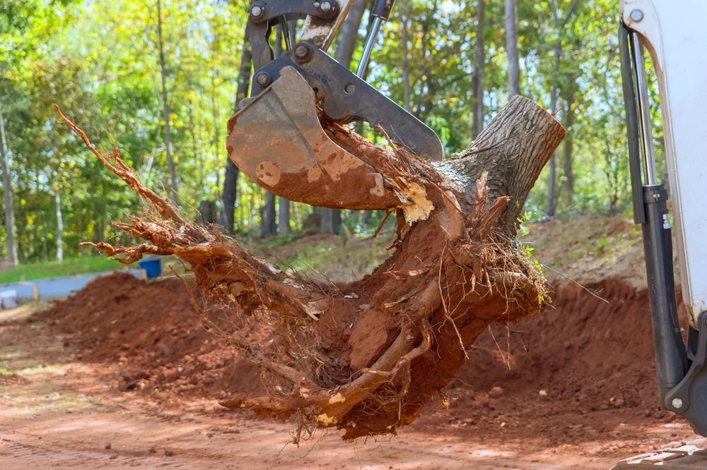professional stump grinding specialist working efficiently