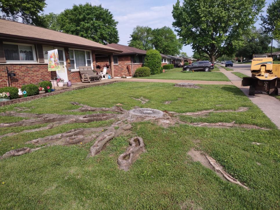 Stump removal equipment restoring a residential yard in Cedar Hill, Missouri