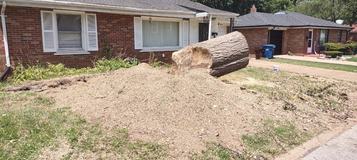 modern stump grinding equipment in residential yard