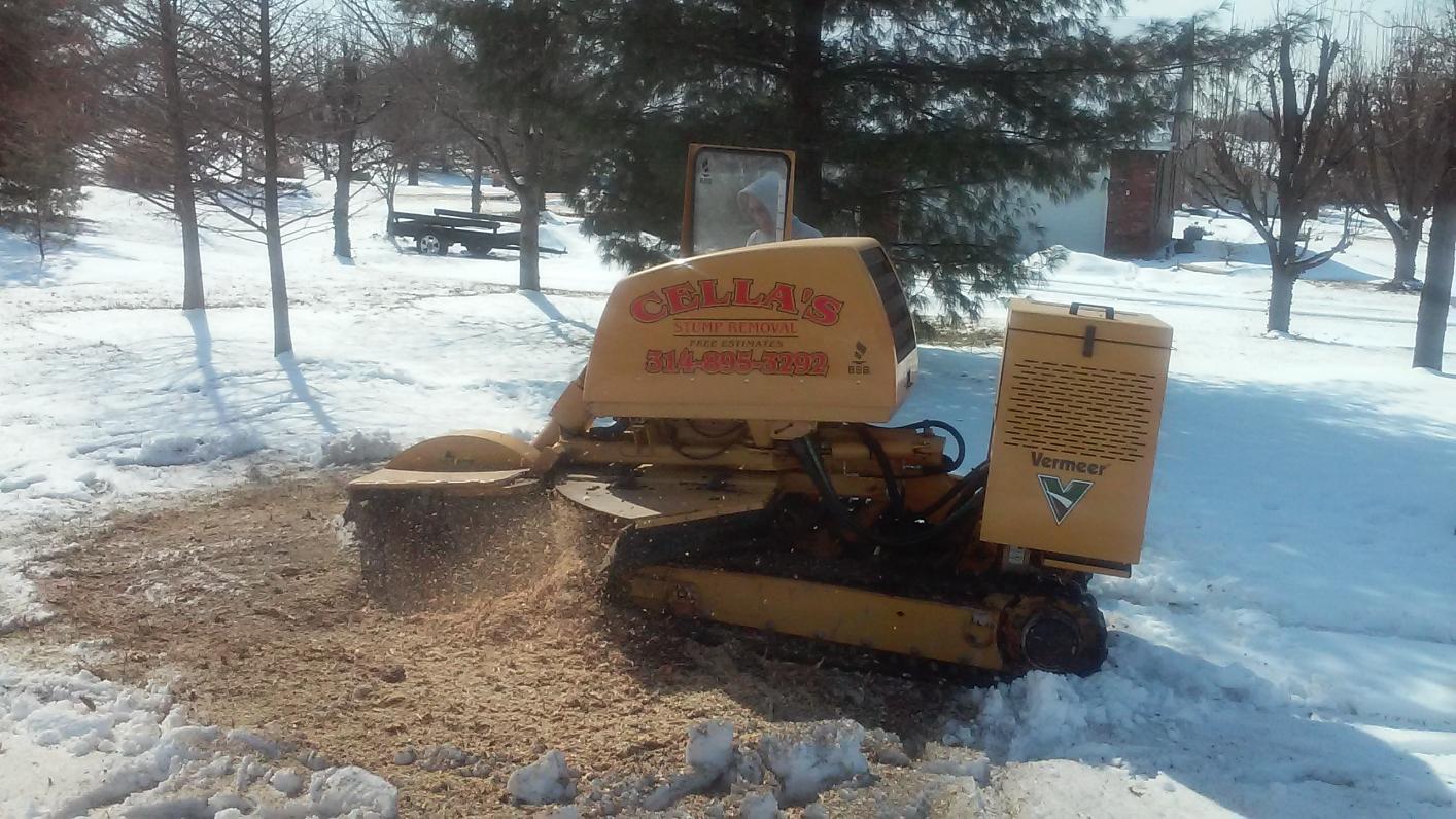 Small stump removal with turf-friendly equipment
