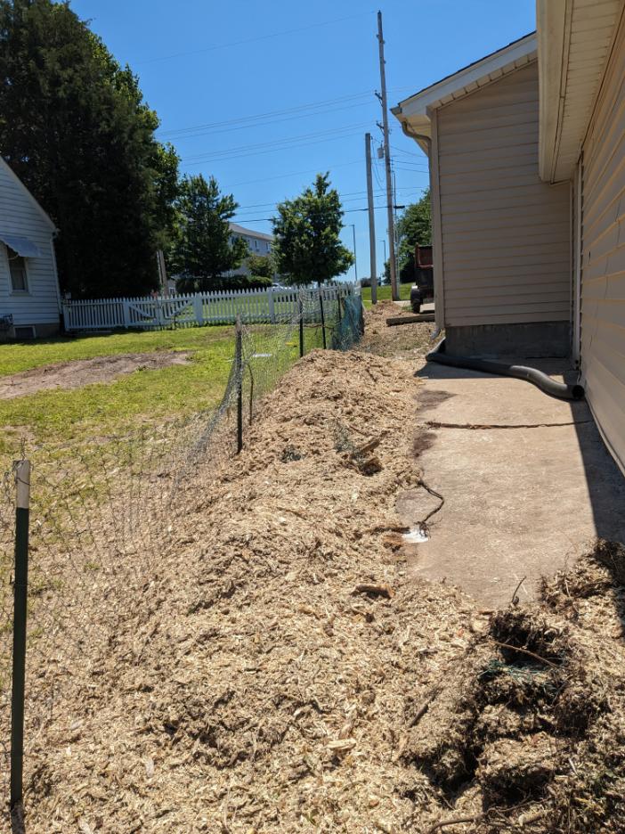 grinding exposed tree roots in residential lawn